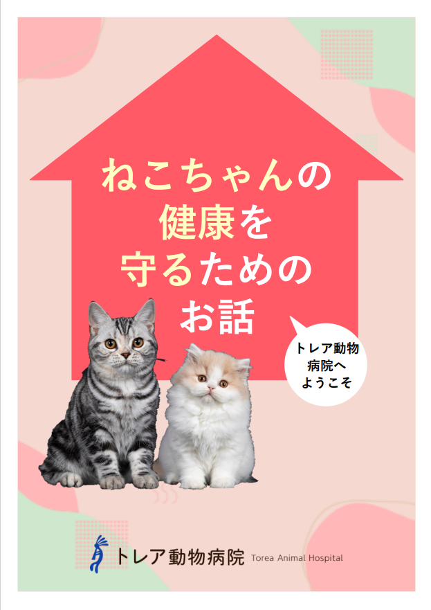 ねこちゃんの健康を守るためのお話